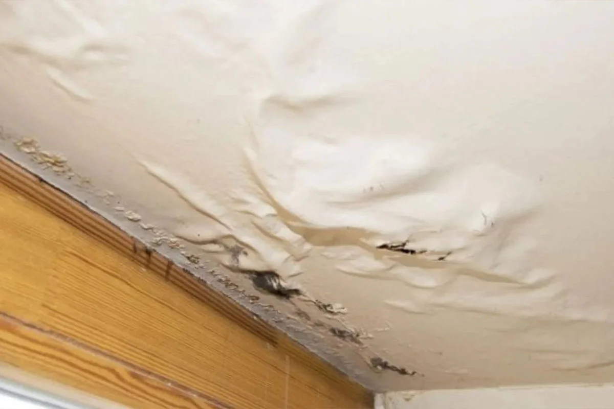 Reliable Water Damage Repair Services in OH