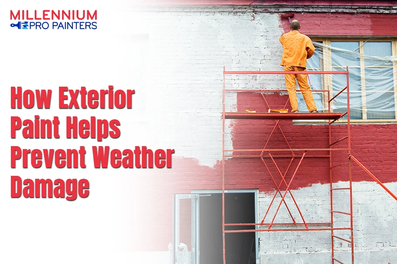 How Painting Contractors Help Avoid Costly Mistakes